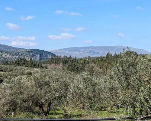 φωτογραφία ακινήτου