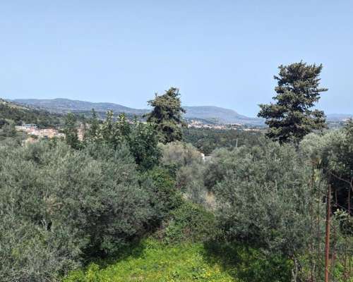 εικόνα ακινήτου