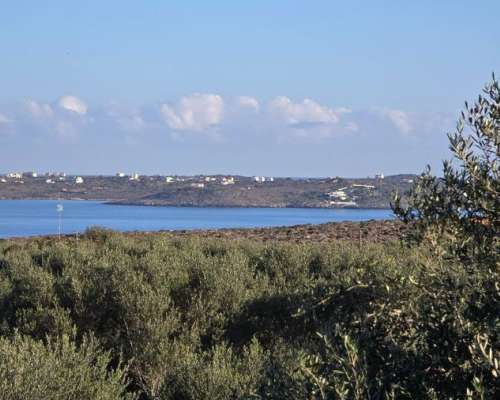 φωτογραφία ακινήτου