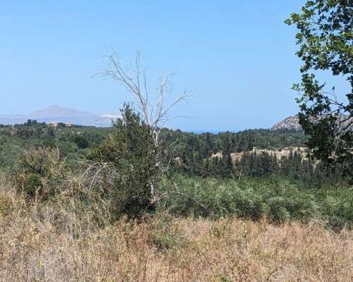 φωτογραφία ακινήτου