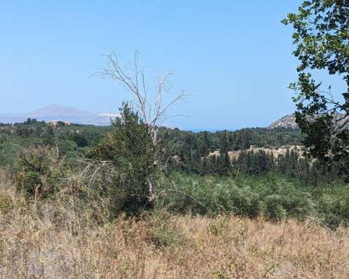 εικόνα ακινήτου