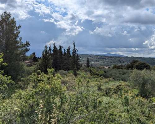φωτογραφία ακινήτου