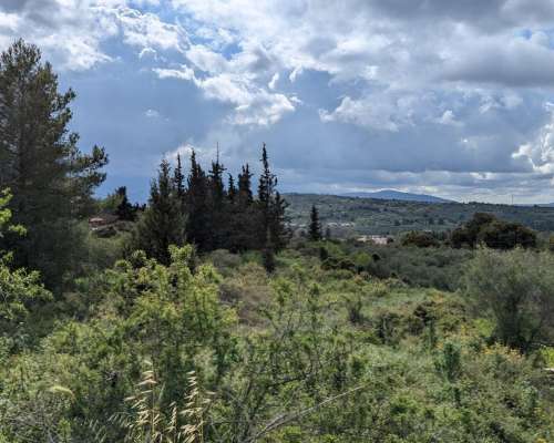 εικόνα ακινήτου
