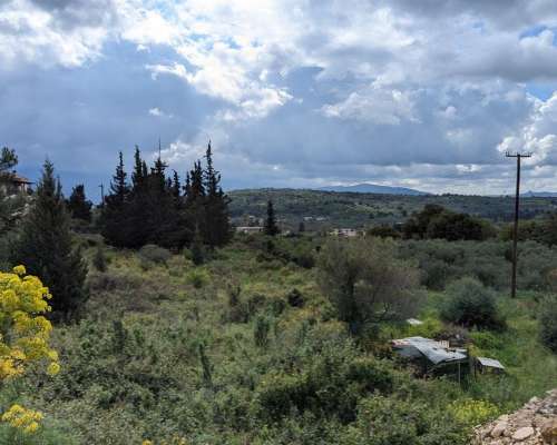 εικόνα ακινήτου