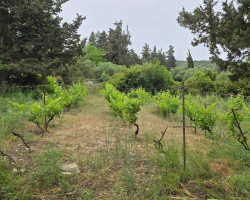 εικόνα ακινήτου