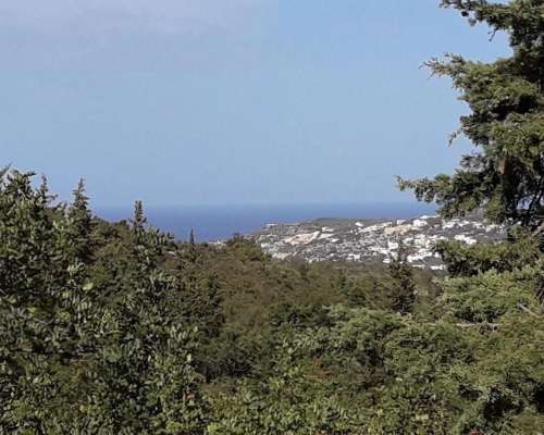 εικόνα ακινήτου