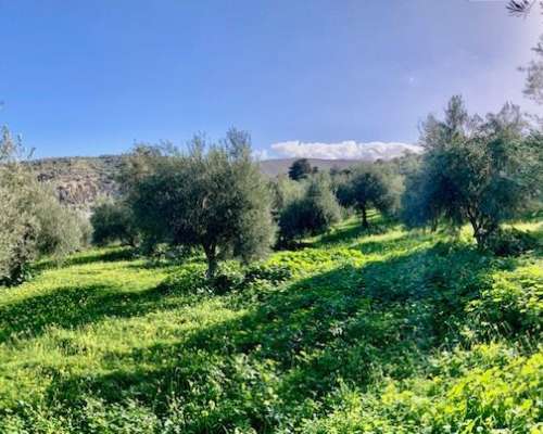 εικόνα ακινήτου
