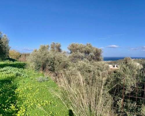 φωτογραφία ακινήτου