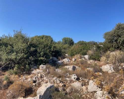 εικόνα ακινήτου