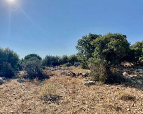 φωτογραφία ακινήτου