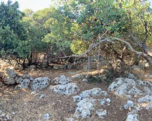 φωτογραφία ακινήτου