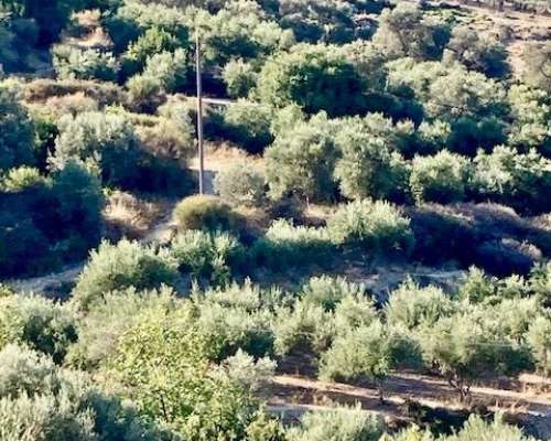 φωτογραφία ακινήτου