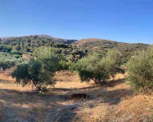 φωτογραφία ακινήτου