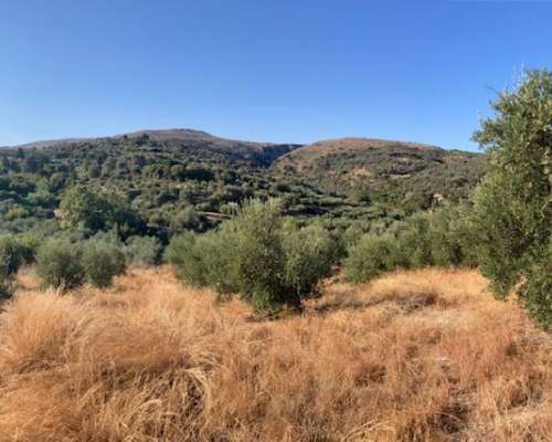 φωτογραφία ακινήτου