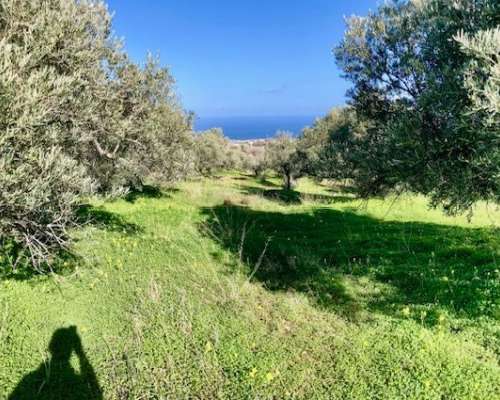 φωτογραφία ακινήτου