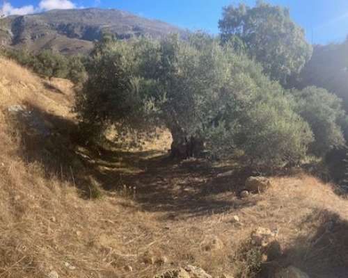 φωτογραφία ακινήτου
