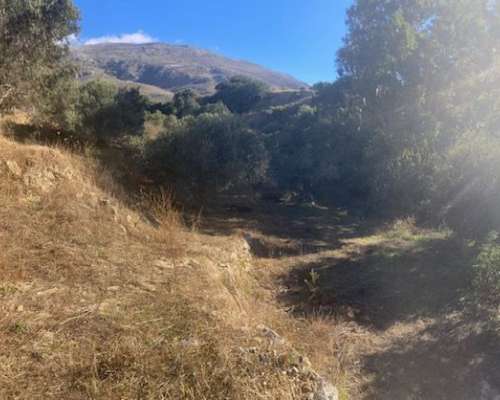 φωτογραφία ακινήτου