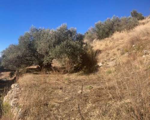 φωτογραφία ακινήτου