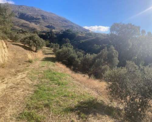 φωτογραφία ακινήτου