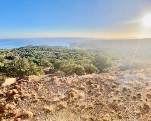 φωτογραφία ακινήτου