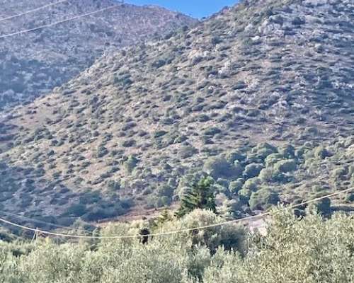 φωτογραφία ακινήτου