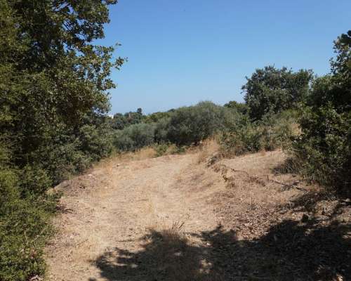 φωτογραφία ακινήτου