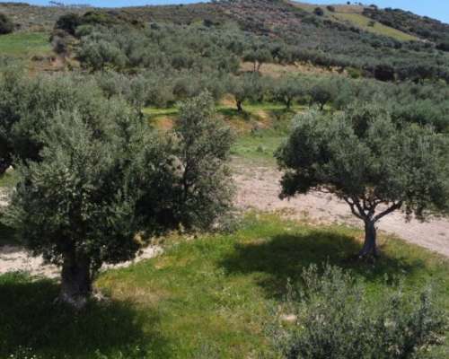 φωτογραφία ακινήτου