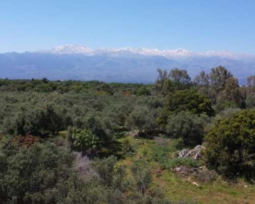φωτογραφία ακινήτου