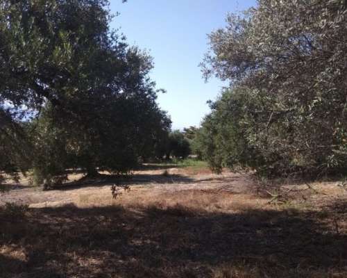 φωτογραφία ακινήτου
