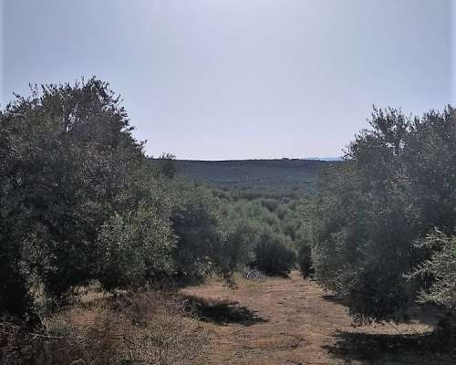 φωτογραφία ακινήτου