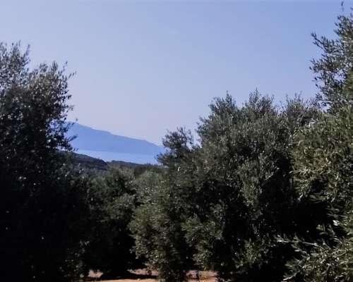 φωτογραφία ακινήτου