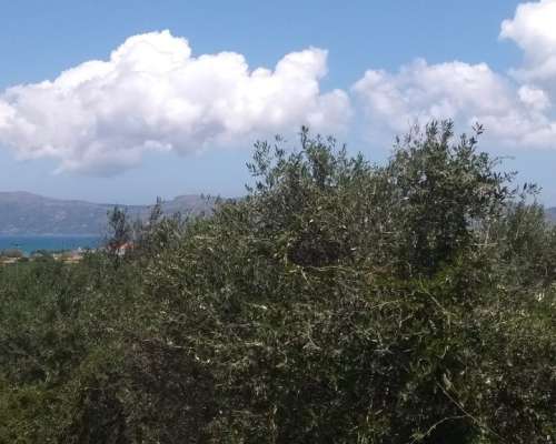 φωτογραφία ακινήτου