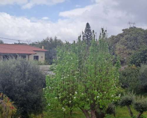 φωτογραφία ακινήτου