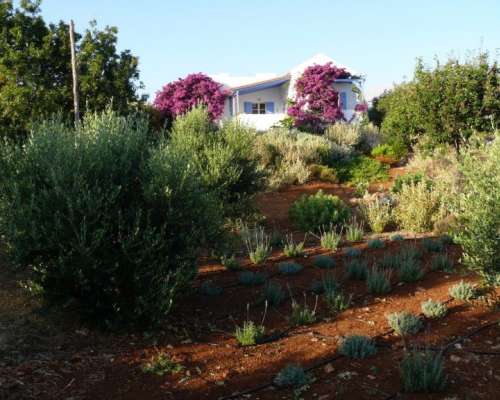 εικόνα ακινήτου