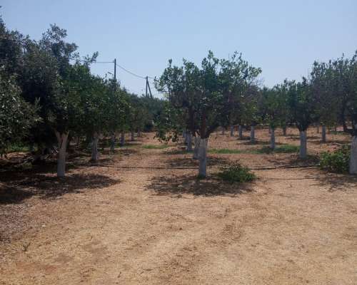 φωτογραφία ακινήτου