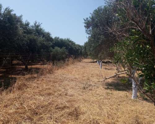 φωτογραφία ακινήτου