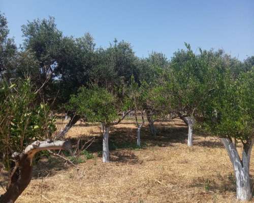 φωτογραφία ακινήτου