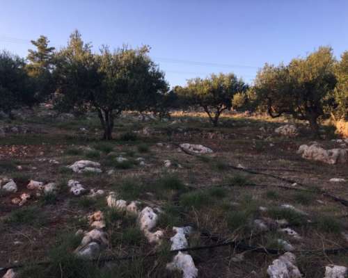 φωτογραφία ακινήτου