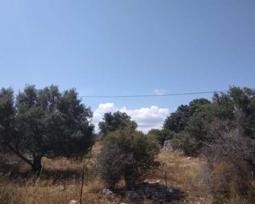 φωτογραφία ακινήτου