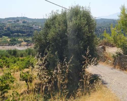 φωτογραφία ακινήτου