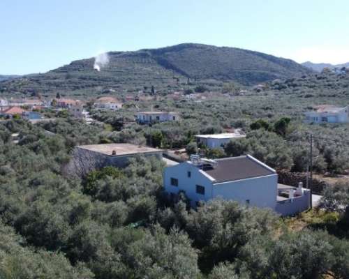 φωτογραφία ακινήτου