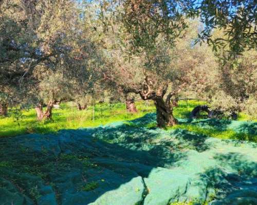 φωτογραφία ακινήτου