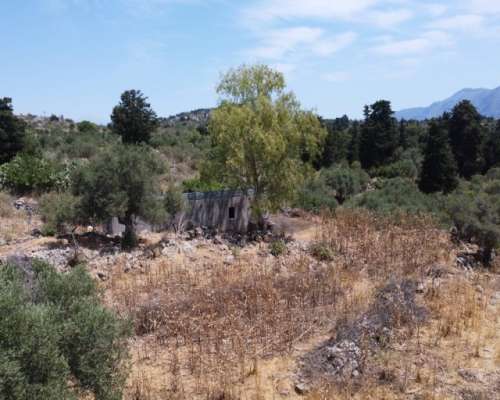 φωτογραφία ακινήτου