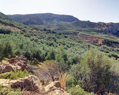 φωτογραφία ακινήτου