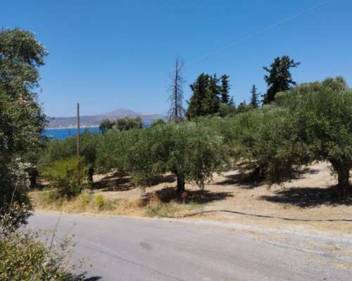 φωτογραφία ακινήτου