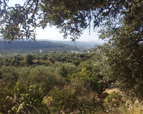 φωτογραφία ακινήτου