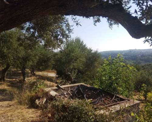 φωτογραφία ακινήτου