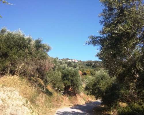 φωτογραφία ακινήτου