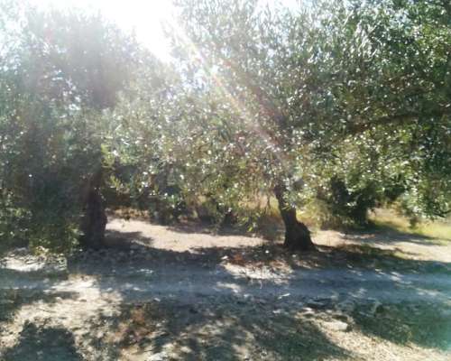 φωτογραφία ακινήτου