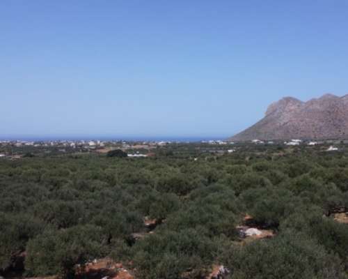 φωτογραφία ακινήτου